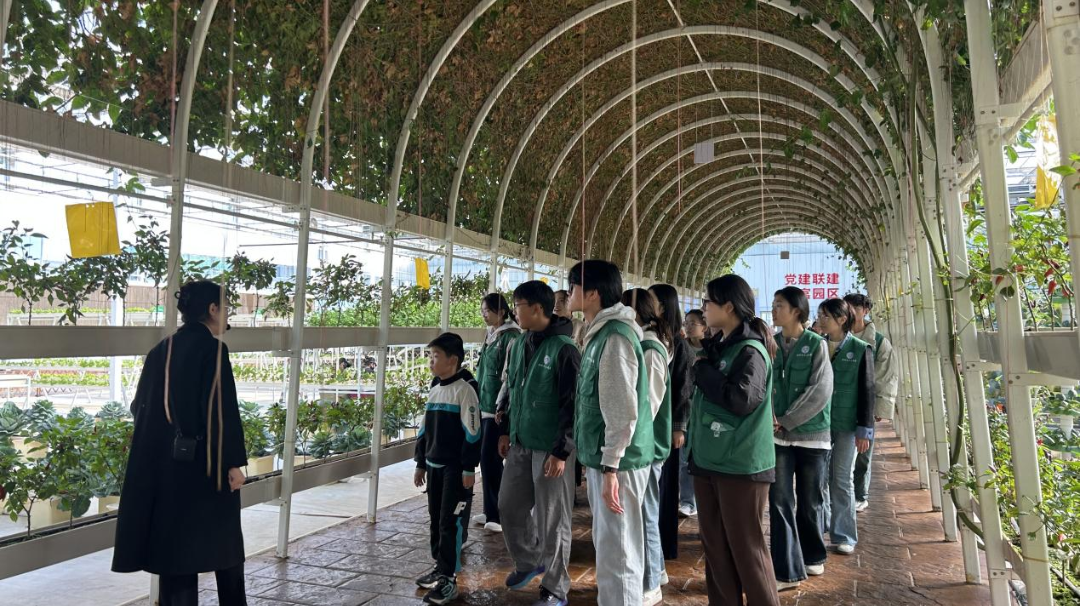 “关注环境保护守护更好潍坊”生态环保科普志愿服务活动举行(图3)