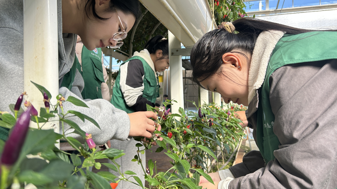 “关注环境保护守护更好潍坊”生态环保科普志愿服务活动举行(图4)