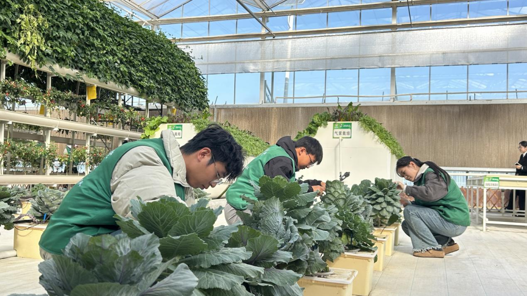 “关注环境保护守护更好潍坊”生态环保科普志愿服务活动举行(图5)