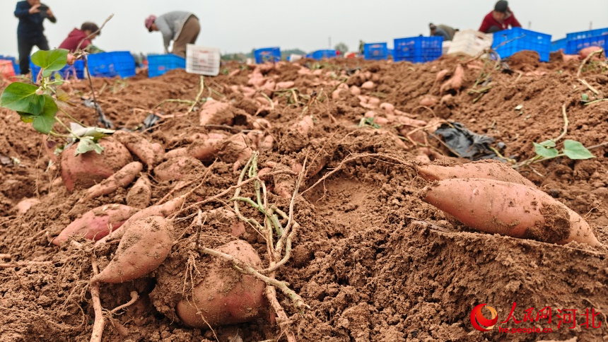 河北：让矿迹焕彩矿场生绿(图3)