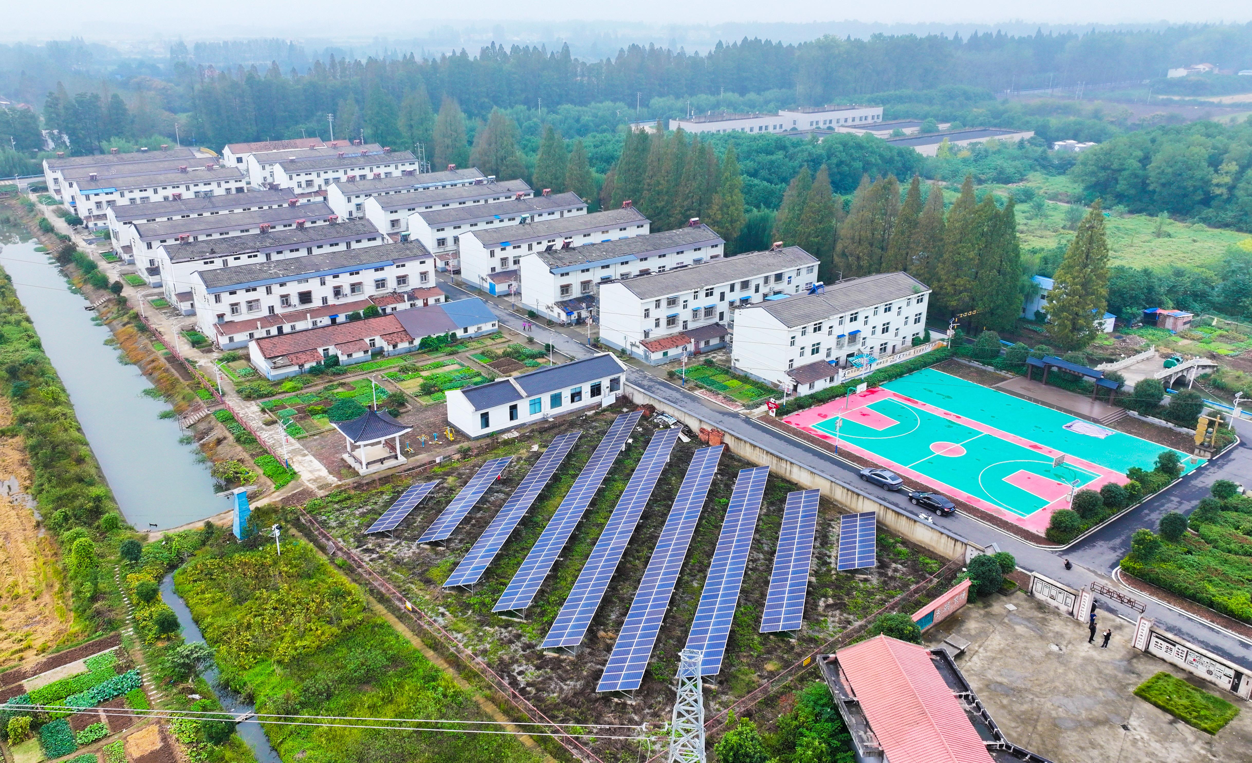 长江大保护十周年·百村蹲点调研行丨一条绿道串起272种鸟类、60亿产值与万家幸福“湿”意栖居生态惠民(图1)