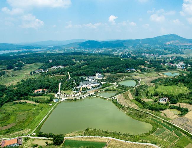 土壤修复技术有哪些?(图1)