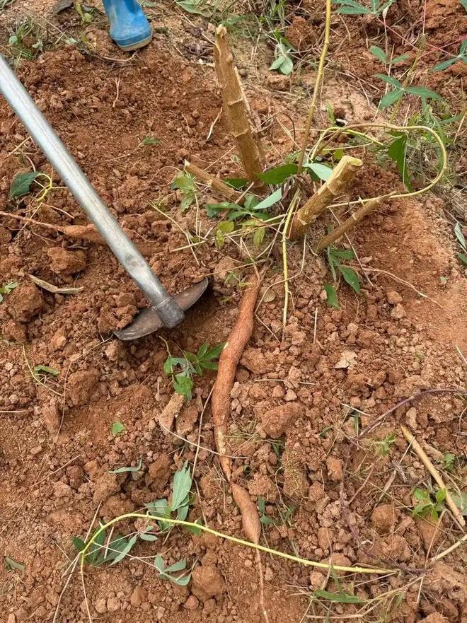 行动已开始中方拉40国组新群联合国接通知古特雷斯要求捐款(图13)