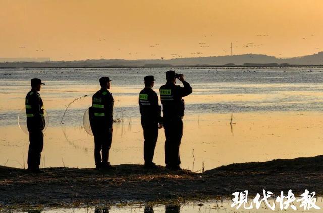 破案2767起、抓6444人！江苏警方“昆仑”行动守护蓝天碧水与舌尖安全(图2)