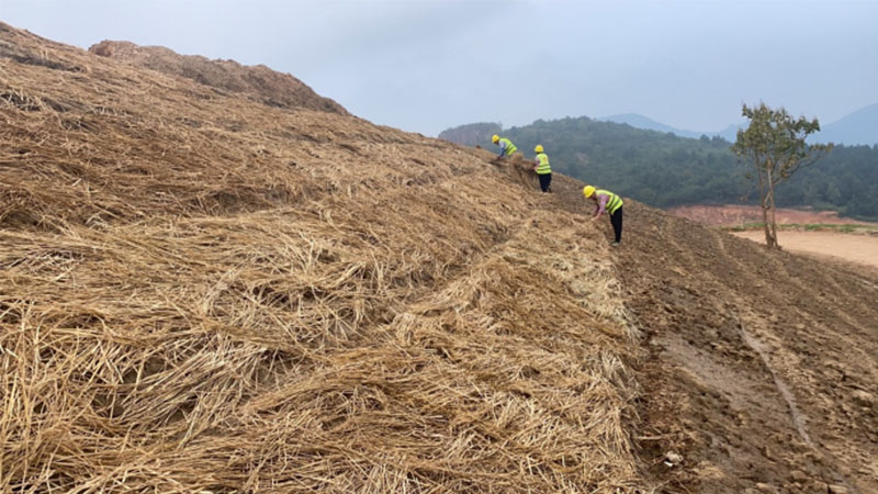 庐江县重构山水:一场生态债务的“清偿之战”(图4)