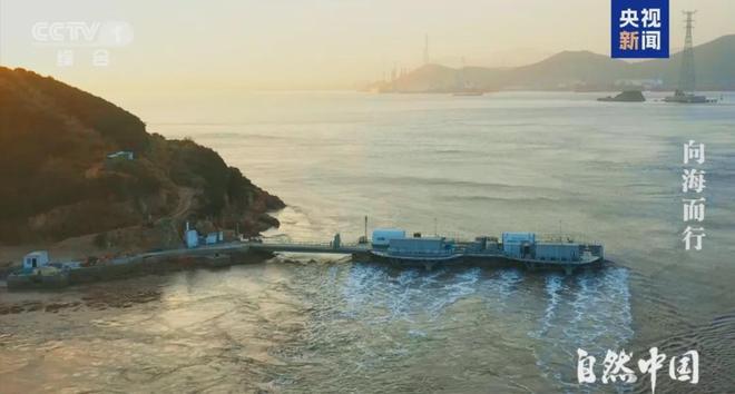 收藏！年终回顾用15部纪录片带孩子读懂2025年中国科技的大突破！(图29)