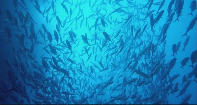 收藏！年终回顾用15部纪录片带孩子读懂2025年中国科技的大突破！(图33)