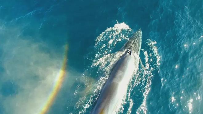 收藏！年终回顾用15部纪录片带孩子读懂2025年中国科技的大突破！(图34)