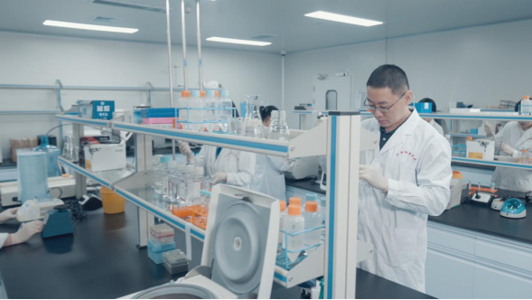 蹲点调查｜竞速“细胞新基建”(图5)