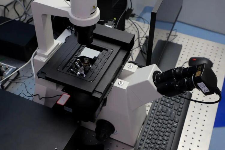 蹲点调查｜竞速“细胞新基建”(图7)