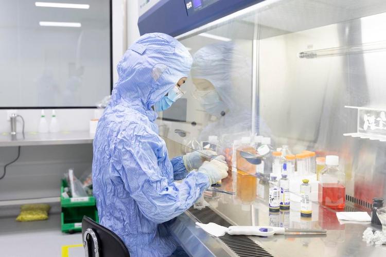 蹲点调查｜竞速“细胞新基建”(图9)