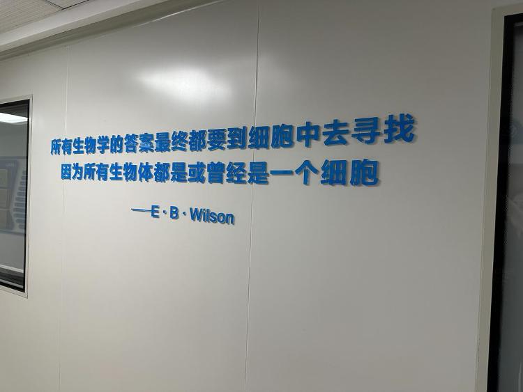 蹲点调查｜竞速“细胞新基建”(图1)