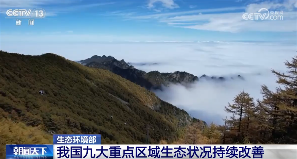 亮眼数据绘就2025年生态环保“美丽画卷”以“含绿量”提升发展“含金量”(图1)