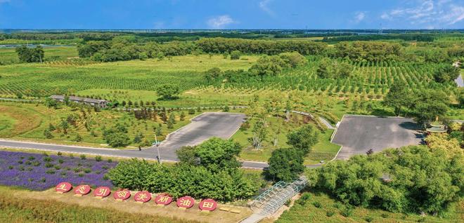 大庆召开2026年生态环境保护工作会议(图1)