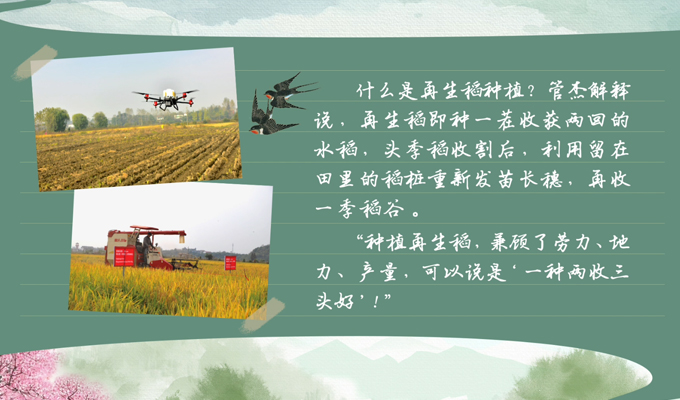 春耕时节我们在行动_光明网(图2)