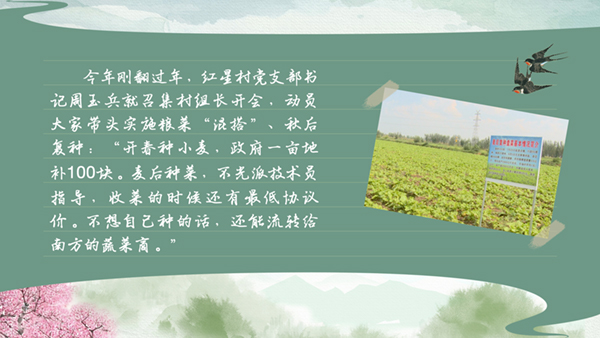 春耕时节我们在行动_光明网(图27)