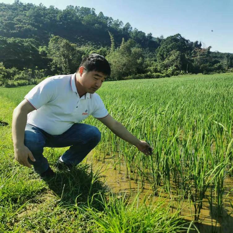 春耕时节我们在行动_光明网(图21)