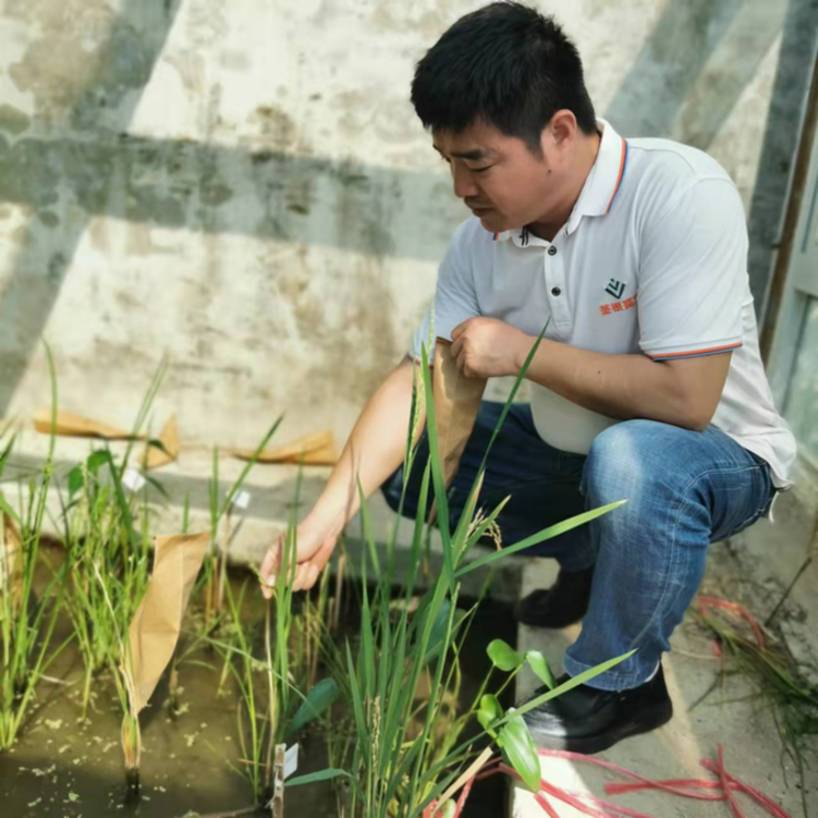 春耕时节我们在行动_光明网(图23)