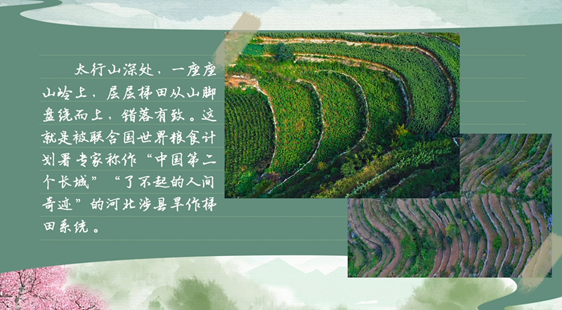 春耕时节我们在行动_光明网(图35)