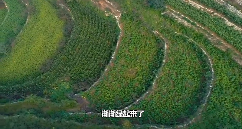 春耕时节我们在行动_光明网(图37)