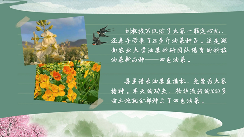 春耕时节我们在行动_光明网(图42)