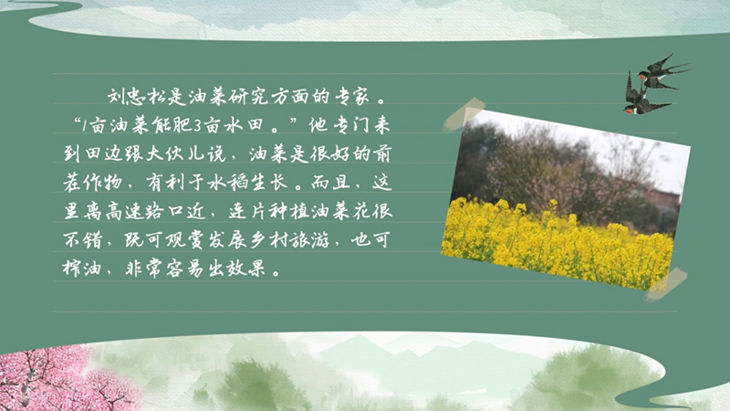 春耕时节我们在行动_光明网(图41)