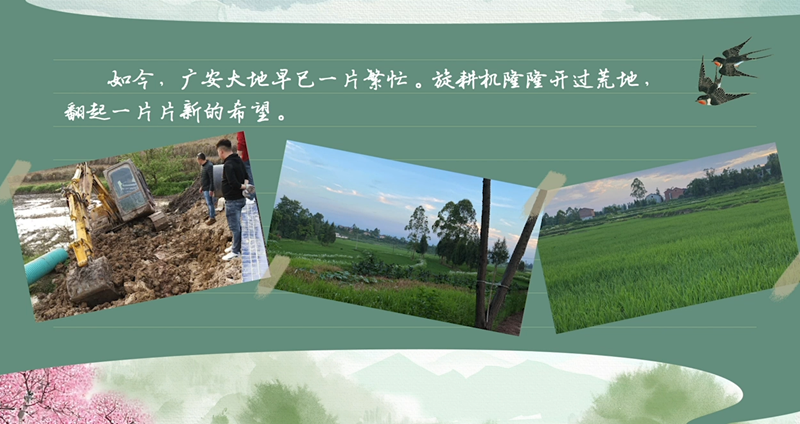 春耕时节我们在行动_光明网(图50)