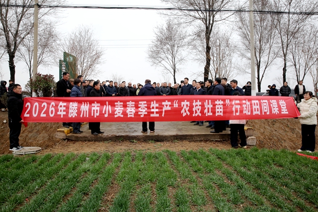 滕州市级索镇：智赋春管绘新景粮田沃野启新程(图1)