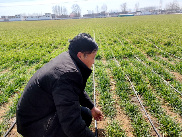 滕州市级索镇：智赋春管绘新景粮田沃野启新程(图4)