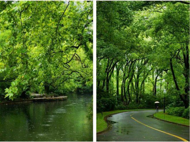 西郊云庐售楼处-西郊云庐售楼处电话-开盘时间-房价-户型-楼盘详情-周边环境-户型-价格-地址-楼盘详情-电话(图7)