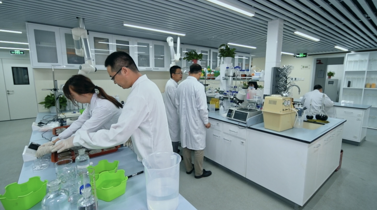 从“用地”到“养地”：新洋丰交出世界土壤日“绿色答卷”(图2)