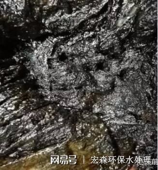 水处理工艺:含油污泥洁净接收储存泵送技术(图4)