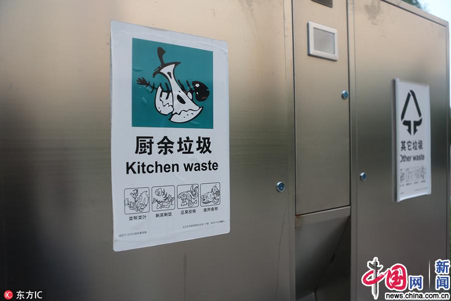 绿水青山：全年无休的环保战役(图2)