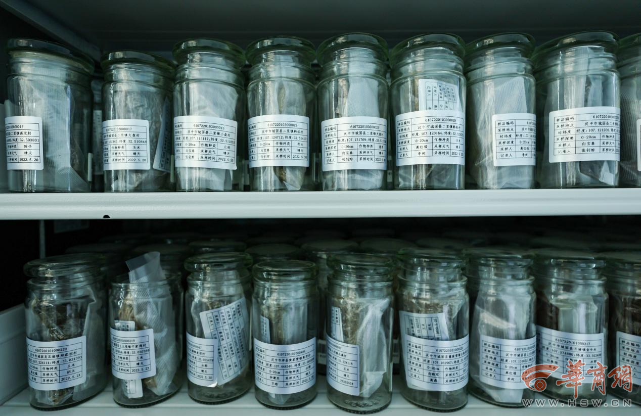 解码杨凌农科城创新实践丨这里有数十万份土壤的“身份证”杨凌用科技夯实“大国粮基”(图3)